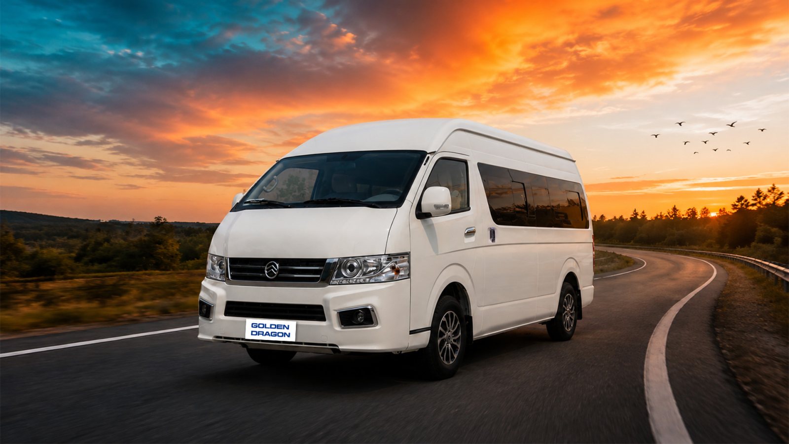 Golden Dragon 16 Seater